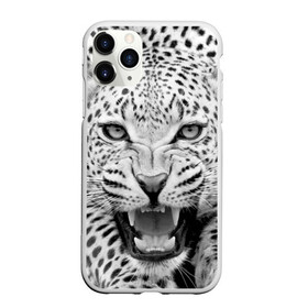 Чехол для iPhone 11 Pro Max матовый с принтом Леопард в Петрозаводске, Силикон |  | animal | eyes | jaws | leopard | malicious | predator | spotted | teeth | wild | взгляд | дикий | животное | злой | клыки | леопард | оскал | пасть | пятнистый | хищник