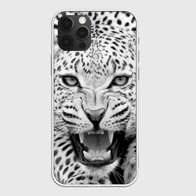 Чехол для iPhone 12 Pro Max с принтом Леопард в Петрозаводске, Силикон |  | Тематика изображения на принте: animal | eyes | jaws | leopard | malicious | predator | spotted | teeth | wild | взгляд | дикий | животное | злой | клыки | леопард | оскал | пасть | пятнистый | хищник