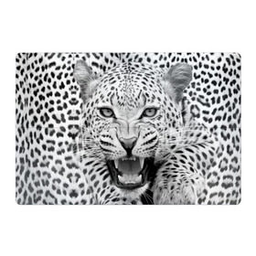 Магнитный плакат 3Х2 с принтом Леопард в Петрозаводске, Полимерный материал с магнитным слоем | 6 деталей размером 9*9 см | Тематика изображения на принте: animal | eyes | jaws | leopard | malicious | predator | spotted | teeth | wild | взгляд | дикий | животное | злой | клыки | леопард | оскал | пасть | пятнистый | хищник