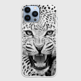 Чехол для iPhone 13 Pro Max с принтом Леопард в Петрозаводске,  |  | animal | eyes | jaws | leopard | malicious | predator | spotted | teeth | wild | взгляд | дикий | животное | злой | клыки | леопард | оскал | пасть | пятнистый | хищник