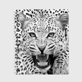 Тетрадь с принтом Леопард в Петрозаводске, 100% бумага | 48 листов, плотность листов — 60 г/м2, плотность картонной обложки — 250 г/м2. Листы скреплены сбоку удобной пружинной спиралью. Уголки страниц и обложки скругленные. Цвет линий — светло-серый
 | Тематика изображения на принте: animal | eyes | jaws | leopard | malicious | predator | spotted | teeth | wild | взгляд | дикий | животное | злой | клыки | леопард | оскал | пасть | пятнистый | хищник