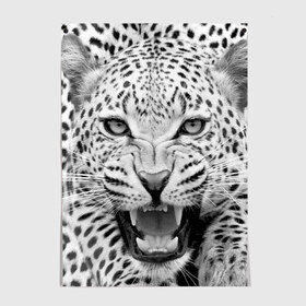Постер с принтом Леопард в Петрозаводске, 100% бумага
 | бумага, плотность 150 мг. Матовая, но за счет высокого коэффициента гладкости имеет небольшой блеск и дает на свету блики, но в отличии от глянцевой бумаги не покрыта лаком | animal | eyes | jaws | leopard | malicious | predator | spotted | teeth | wild | взгляд | дикий | животное | злой | клыки | леопард | оскал | пасть | пятнистый | хищник