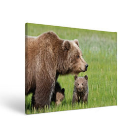 Холст прямоугольный с принтом Медведи в Петрозаводске, 100% ПВХ |  | Тематика изображения на принте: animals | bears | children | family | green | meadow | mother | predators | дети | животные | зеленая | мама | медведи | поляна | семья | хищники
