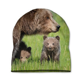 Шапка 3D с принтом Медведи в Петрозаводске, 100% полиэстер | универсальный размер, печать по всей поверхности изделия | animals | bears | children | family | green | meadow | mother | predators | дети | животные | зеленая | мама | медведи | поляна | семья | хищники