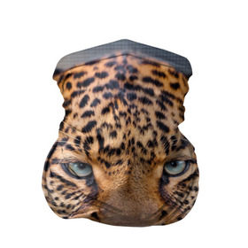 Бандана-труба 3D с принтом Леопард в Петрозаводске, 100% полиэстер, ткань с особыми свойствами — Activecool | плотность 150‒180 г/м2; хорошо тянется, но сохраняет форму | animal | leopard | look | predator | spotted | wild | взгляд | дикий | животное | леопард | пятнистый | хищник
