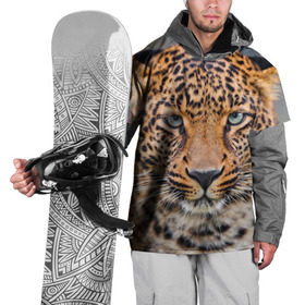 Накидка на куртку 3D с принтом Леопард в Петрозаводске, 100% полиэстер |  | animal | leopard | look | predator | spotted | wild | взгляд | дикий | животное | леопард | пятнистый | хищник