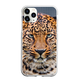 Чехол для iPhone 11 Pro Max матовый с принтом Леопард в Петрозаводске, Силикон |  | animal | leopard | look | predator | spotted | wild | взгляд | дикий | животное | леопард | пятнистый | хищник