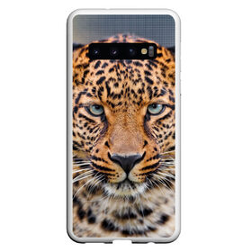 Чехол для Samsung Galaxy S10 с принтом Леопард в Петрозаводске, Силикон | Область печати: задняя сторона чехла, без боковых панелей | animal | leopard | look | predator | spotted | wild | взгляд | дикий | животное | леопард | пятнистый | хищник