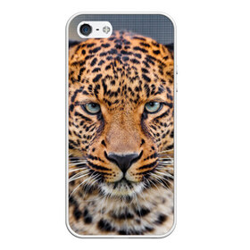 Чехол для iPhone 5/5S матовый с принтом Леопард в Петрозаводске, Силикон | Область печати: задняя сторона чехла, без боковых панелей | animal | leopard | look | predator | spotted | wild | взгляд | дикий | животное | леопард | пятнистый | хищник