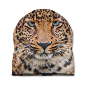 Шапка 3D с принтом Леопард в Петрозаводске, 100% полиэстер | универсальный размер, печать по всей поверхности изделия | animal | leopard | look | predator | spotted | wild | взгляд | дикий | животное | леопард | пятнистый | хищник