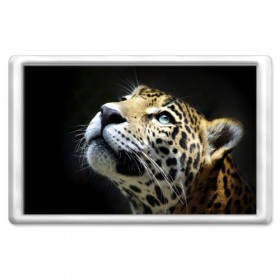 Магнит 45*70 с принтом Леопард в Петрозаводске, Пластик | Размер: 78*52 мм; Размер печати: 70*45 | Тематика изображения на принте: 