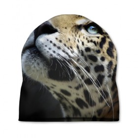 Шапка 3D с принтом Леопард в Петрозаводске, 100% полиэстер | универсальный размер, печать по всей поверхности изделия | 