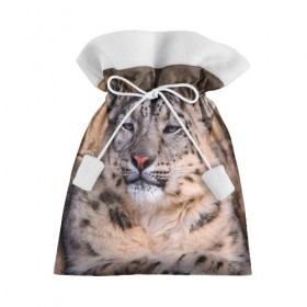 Подарочный 3D мешок с принтом Леопард в Петрозаводске, 100% полиэстер | Размер: 29*39 см | animal | leopard | look | predator | spotted | wild | взгляд | дикий | животное | леопард | пятнистый | хищник