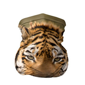 Бандана-труба 3D с принтом Тигр в Петрозаводске, 100% полиэстер, ткань с особыми свойствами — Activecool | плотность 150‒180 г/м2; хорошо тянется, но сохраняет форму | Тематика изображения на принте: animal | predator | striped | tiger | view | wild | взгляд | дикий | животное | полосатый | тигр | хищник