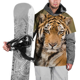 Накидка на куртку 3D с принтом Тигр в Петрозаводске, 100% полиэстер |  | animal | predator | striped | tiger | view | wild | взгляд | дикий | животное | полосатый | тигр | хищник