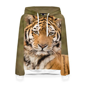 Женская толстовка 3D с принтом Тигр в Петрозаводске, 100% полиэстер  | двухслойный капюшон со шнурком для регулировки, мягкие манжеты на рукавах и по низу толстовки, спереди карман-кенгуру с мягким внутренним слоем. | animal | predator | striped | tiger | view | wild | взгляд | дикий | животное | полосатый | тигр | хищник