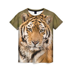 Женская футболка 3D с принтом Тигр в Петрозаводске, 100% полиэфир ( синтетическое хлопкоподобное полотно) | прямой крой, круглый вырез горловины, длина до линии бедер | animal | predator | striped | tiger | view | wild | взгляд | дикий | животное | полосатый | тигр | хищник