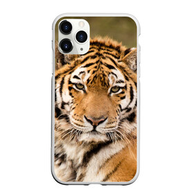 Чехол для iPhone 11 Pro матовый с принтом Тигр в Петрозаводске, Силикон |  | animal | predator | striped | tiger | view | wild | взгляд | дикий | животное | полосатый | тигр | хищник