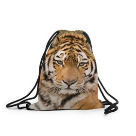 Рюкзак-мешок 3D с принтом Тигр в Петрозаводске, 100% полиэстер | плотность ткани — 200 г/м2, размер — 35 х 45 см; лямки — толстые шнурки, застежка на шнуровке, без карманов и подкладки | Тематика изображения на принте: animal | predator | striped | tiger | view | wild | взгляд | дикий | животное | полосатый | тигр | хищник