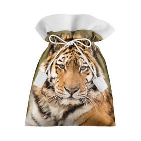 Подарочный 3D мешок с принтом Тигр в Петрозаводске, 100% полиэстер | Размер: 29*39 см | animal | predator | striped | tiger | view | wild | взгляд | дикий | животное | полосатый | тигр | хищник