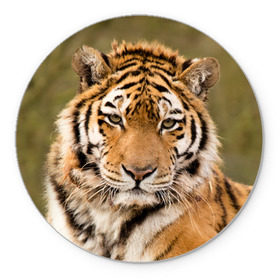 Коврик круглый с принтом Тигр в Петрозаводске, резина и полиэстер | круглая форма, изображение наносится на всю лицевую часть | animal | predator | striped | tiger | view | wild | взгляд | дикий | животное | полосатый | тигр | хищник