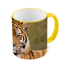 Кружка 3D с принтом Тигр в Петрозаводске, керамика | ёмкость 330 мл | animal | predator | striped | tiger | view | wild | взгляд | дикий | животное | полосатый | тигр | хищник