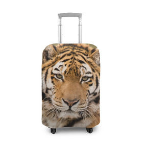 Чехол для чемодана 3D с принтом Тигр в Петрозаводске, 86% полиэфир, 14% спандекс | двустороннее нанесение принта, прорези для ручек и колес | animal | predator | striped | tiger | view | wild | взгляд | дикий | животное | полосатый | тигр | хищник