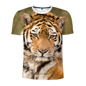 Мужская футболка 3D спортивная с принтом Тигр в Петрозаводске, 100% полиэстер с улучшенными характеристиками | приталенный силуэт, круглая горловина, широкие плечи, сужается к линии бедра | animal | predator | striped | tiger | view | wild | взгляд | дикий | животное | полосатый | тигр | хищник