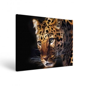 Холст прямоугольный с принтом Леопард в Петрозаводске, 100% ПВХ |  | animal | leopard | look | predator | spotted | wild | взгляд | дикий | животное | леопард | пятнистый | хищник