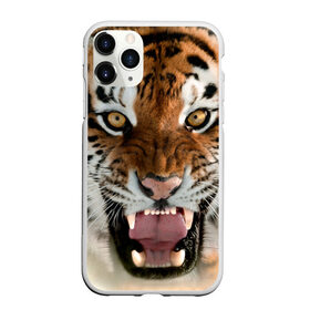 Чехол для iPhone 11 Pro матовый с принтом Тигр в Петрозаводске, Силикон |  | animal | predator | striped | tiger | view | wild | взгляд | дикий | животное | полосатый | тигр | хищник