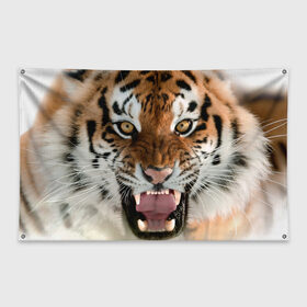 Флаг-баннер с принтом Тигр в Петрозаводске, 100% полиэстер | размер 67 х 109 см, плотность ткани — 95 г/м2; по краям флага есть четыре люверса для крепления | animal | predator | striped | tiger | view | wild | взгляд | дикий | животное | полосатый | тигр | хищник