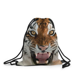 Рюкзак-мешок 3D с принтом Тигр в Петрозаводске, 100% полиэстер | плотность ткани — 200 г/м2, размер — 35 х 45 см; лямки — толстые шнурки, застежка на шнуровке, без карманов и подкладки | Тематика изображения на принте: animal | predator | striped | tiger | view | wild | взгляд | дикий | животное | полосатый | тигр | хищник