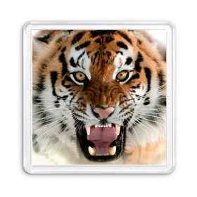 Магнит 55*55 с принтом Тигр в Петрозаводске, Пластик | Размер: 65*65 мм; Размер печати: 55*55 мм | Тематика изображения на принте: animal | predator | striped | tiger | view | wild | взгляд | дикий | животное | полосатый | тигр | хищник