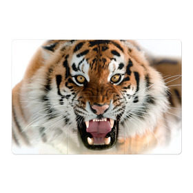 Магнитный плакат 3Х2 с принтом Тигр в Петрозаводске, Полимерный материал с магнитным слоем | 6 деталей размером 9*9 см | Тематика изображения на принте: animal | predator | striped | tiger | view | wild | взгляд | дикий | животное | полосатый | тигр | хищник