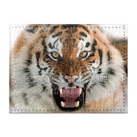 Обложка для студенческого билета с принтом Тигр в Петрозаводске, натуральная кожа | Размер: 11*8 см; Печать на всей внешней стороне | animal | predator | striped | tiger | view | wild | взгляд | дикий | животное | полосатый | тигр | хищник
