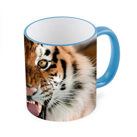 Кружка 3D с принтом Тигр в Петрозаводске, керамика | ёмкость 330 мл | animal | predator | striped | tiger | view | wild | взгляд | дикий | животное | полосатый | тигр | хищник