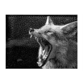Обложка для студенческого билета с принтом Лиса в Петрозаводске, натуральная кожа | Размер: 11*8 см; Печать на всей внешней стороне | Тематика изображения на принте: animal | bw | fox | jaws | predator | sly | teeth | wild | yawn | дикая | животное | зевает | зубы | лиса | пасть | хитрая | хищник | чб