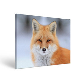 Холст прямоугольный с принтом Лиса в Петрозаводске, 100% ПВХ |  | animal | fox | look | predator | red | sly | wild | взгляд | дикая | животное | лиса | рыжая | хитрая | хищник
