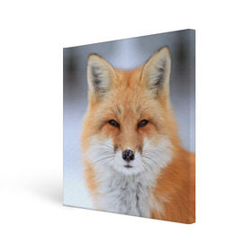 Холст квадратный с принтом Лиса в Петрозаводске, 100% ПВХ |  | animal | fox | look | predator | red | sly | wild | взгляд | дикая | животное | лиса | рыжая | хитрая | хищник