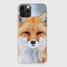 Чехол для iPhone 12 Pro Max с принтом Лиса в Петрозаводске, Силикон |  | animal | fox | look | predator | red | sly | wild | взгляд | дикая | животное | лиса | рыжая | хитрая | хищник