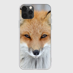 Чехол для iPhone 12 Pro Max с принтом Лиса в Петрозаводске, Силикон |  | Тематика изображения на принте: animal | baby | fox | look | predator | red | sly | wild | взгляд | дикая | животное | лиса | малыш | рыжая | хитрая | хищник