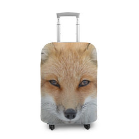 Чехол для чемодана 3D с принтом Лиса в Петрозаводске, 86% полиэфир, 14% спандекс | двустороннее нанесение принта, прорези для ручек и колес | animal | baby | fox | look | predator | red | sly | wild | взгляд | дикая | животное | лиса | малыш | рыжая | хитрая | хищник