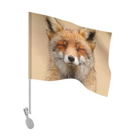 Флаг для автомобиля с принтом Лиса в Петрозаводске, 100% полиэстер | Размер: 30*21 см | animal | baby | fox | look | predator | red | sly | wild | взгляд | дикая | животное | лиса | малыш | рыжая | хитрая | хищник