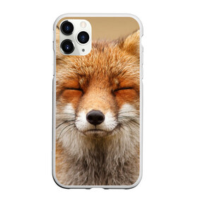 Чехол для iPhone 11 Pro матовый с принтом Лиса в Петрозаводске, Силикон |  | animal | baby | fox | look | predator | red | sly | wild | взгляд | дикая | животное | лиса | малыш | рыжая | хитрая | хищник