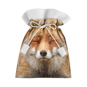 Подарочный 3D мешок с принтом Лиса в Петрозаводске, 100% полиэстер | Размер: 29*39 см | animal | baby | fox | look | predator | red | sly | wild | взгляд | дикая | животное | лиса | малыш | рыжая | хитрая | хищник