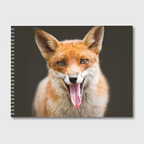 Альбом для рисования с принтом Лиса в Петрозаводске, 100% бумага
 | матовая бумага, плотность 200 мг. | animal | fox | look | predator | red | sly | wild | взгляд | дикая | животное | лиса | рыжая | хитрая | хищник