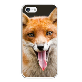 Чехол для iPhone 5/5S матовый с принтом Лиса в Петрозаводске, Силикон | Область печати: задняя сторона чехла, без боковых панелей | animal | fox | look | predator | red | sly | wild | взгляд | дикая | животное | лиса | рыжая | хитрая | хищник
