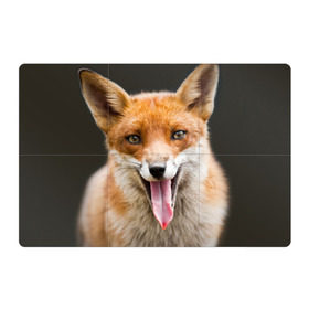 Магнитный плакат 3Х2 с принтом Лиса в Петрозаводске, Полимерный материал с магнитным слоем | 6 деталей размером 9*9 см | animal | fox | look | predator | red | sly | wild | взгляд | дикая | животное | лиса | рыжая | хитрая | хищник