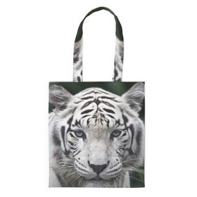 Сумка 3D повседневная с принтом Белый тигр в Петрозаводске, 100% полиэстер | Плотность: 200 г/м2; Размер: 34×35 см; Высота лямок: 30 см | animal | jungle | look | predator | tiger | white | wild | белый | взгляд | джунгли | дикий | животное | тигр | хищник