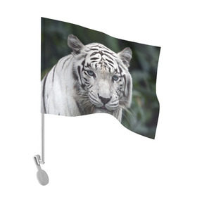Флаг для автомобиля с принтом Белый тигр в Петрозаводске, 100% полиэстер | Размер: 30*21 см | animal | jungle | look | predator | tiger | white | wild | белый | взгляд | джунгли | дикий | животное | тигр | хищник